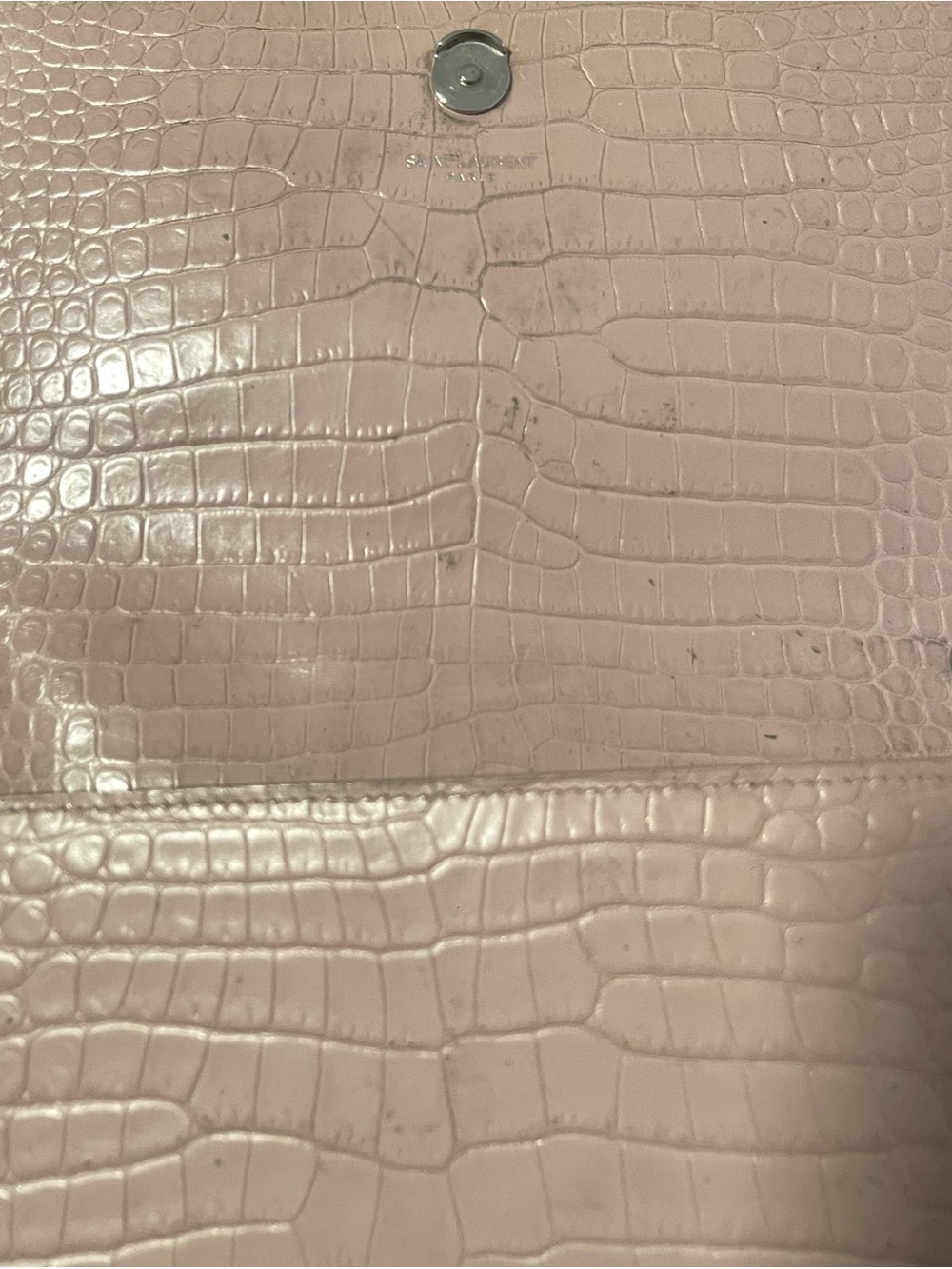 Saint Laurent Nude Croc-Embossed Crossbody Bag - Picture 10 of 15